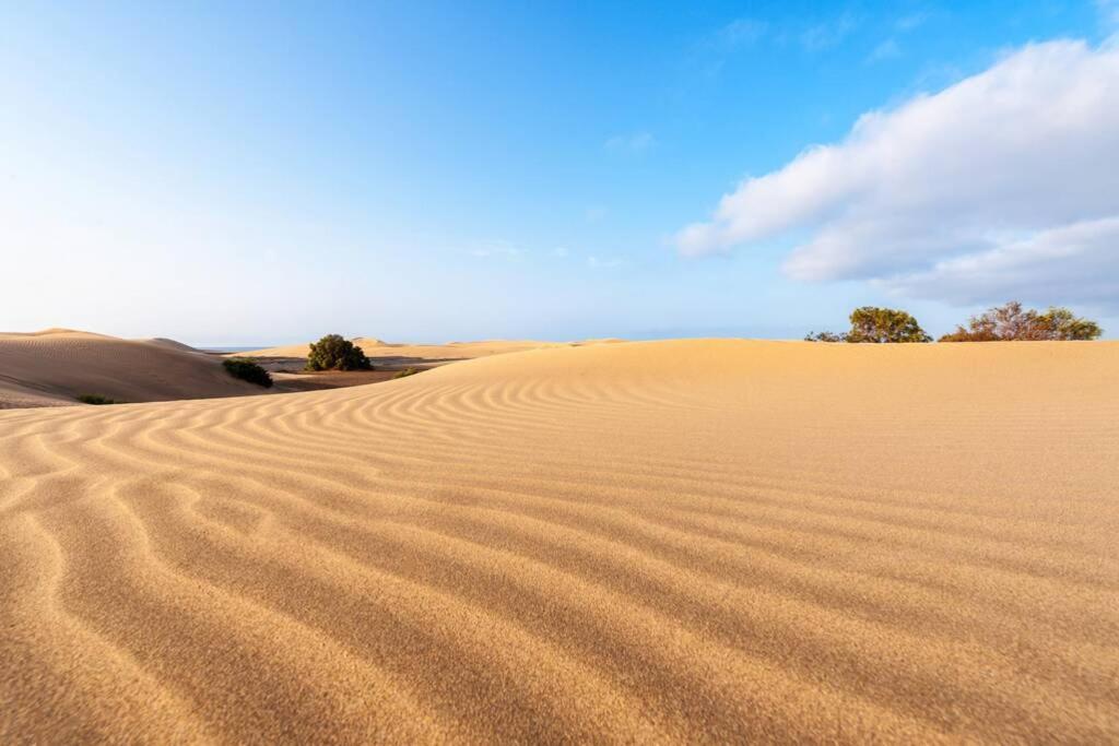 Apartmán Duplex Con Jardin Y Buenas Vistas Maspalomas  Exteriér fotografie